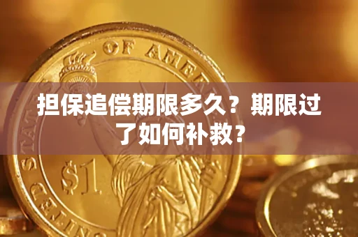 北京担保追偿期限多久？期限过了如何补救？